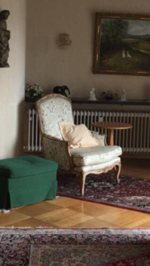 Aufbereitung Lackierung Sessel Aufbereitung Lackierung Sessel